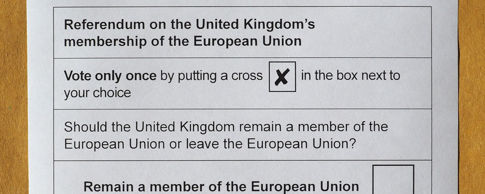 Referendum ballot